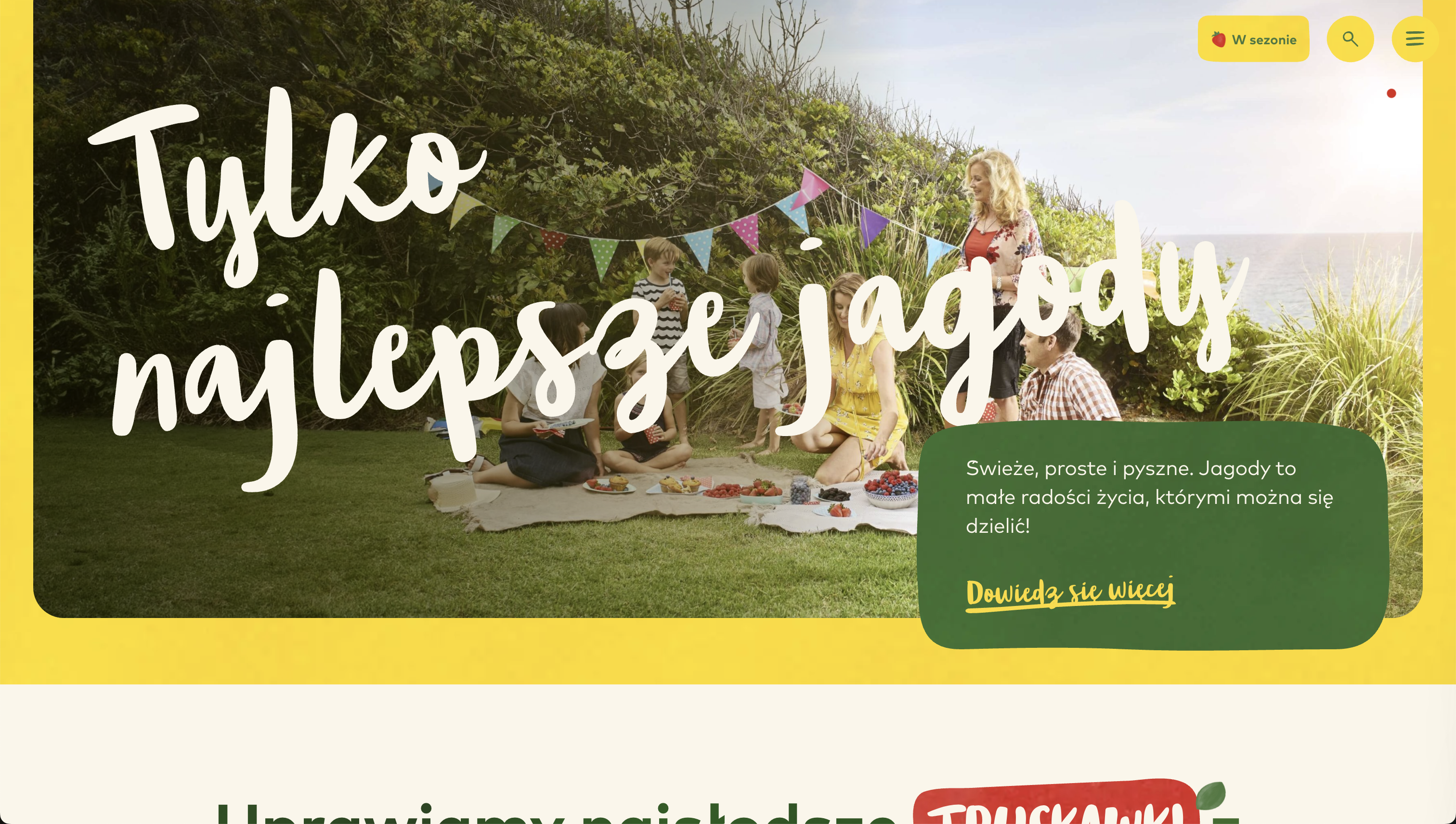 Strona internetowa sklep online Lublin - e-commerce sprzedaż produktów